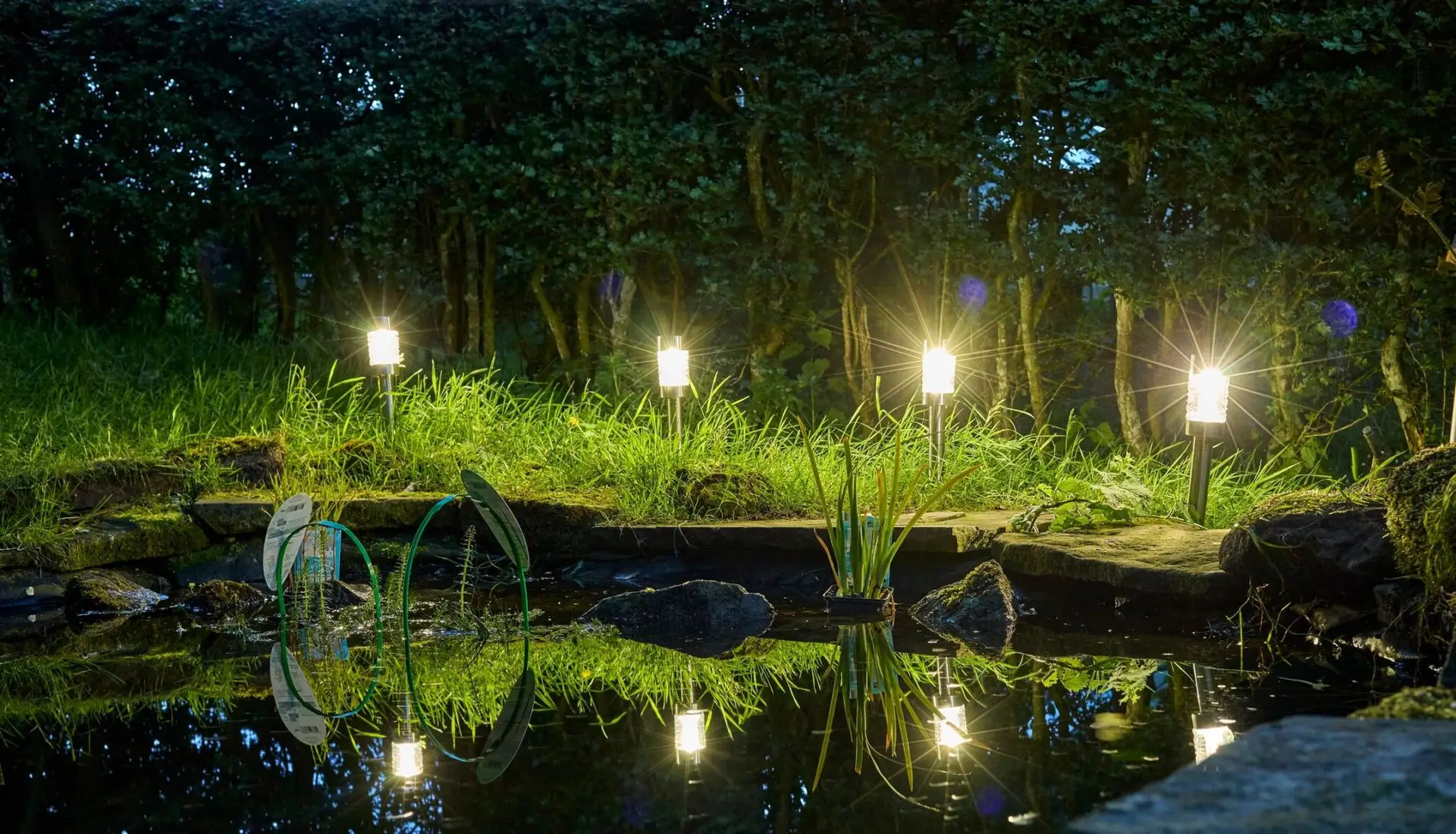 Heather Cottage flowers and night pond with mini tripod
